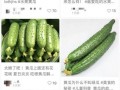山东黄瓜爆料视频最新版,揭秘真相与争议