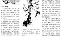 白术最新技能爆料图,神秘力量觉醒，战力再升级！